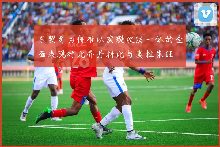 东契奇为何难以实现攻防一体的全面表现对比乔丹科比与奥拉朱旺