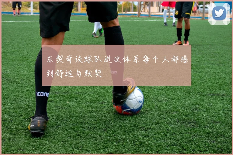 东契奇谈球队进攻体系每个人都感到舒适与默契
