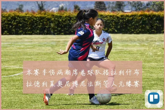 本赛季伤病潮席卷球队格拉利什布拉德利莱奥尼博尼法斯等人无缘赛季余下比赛